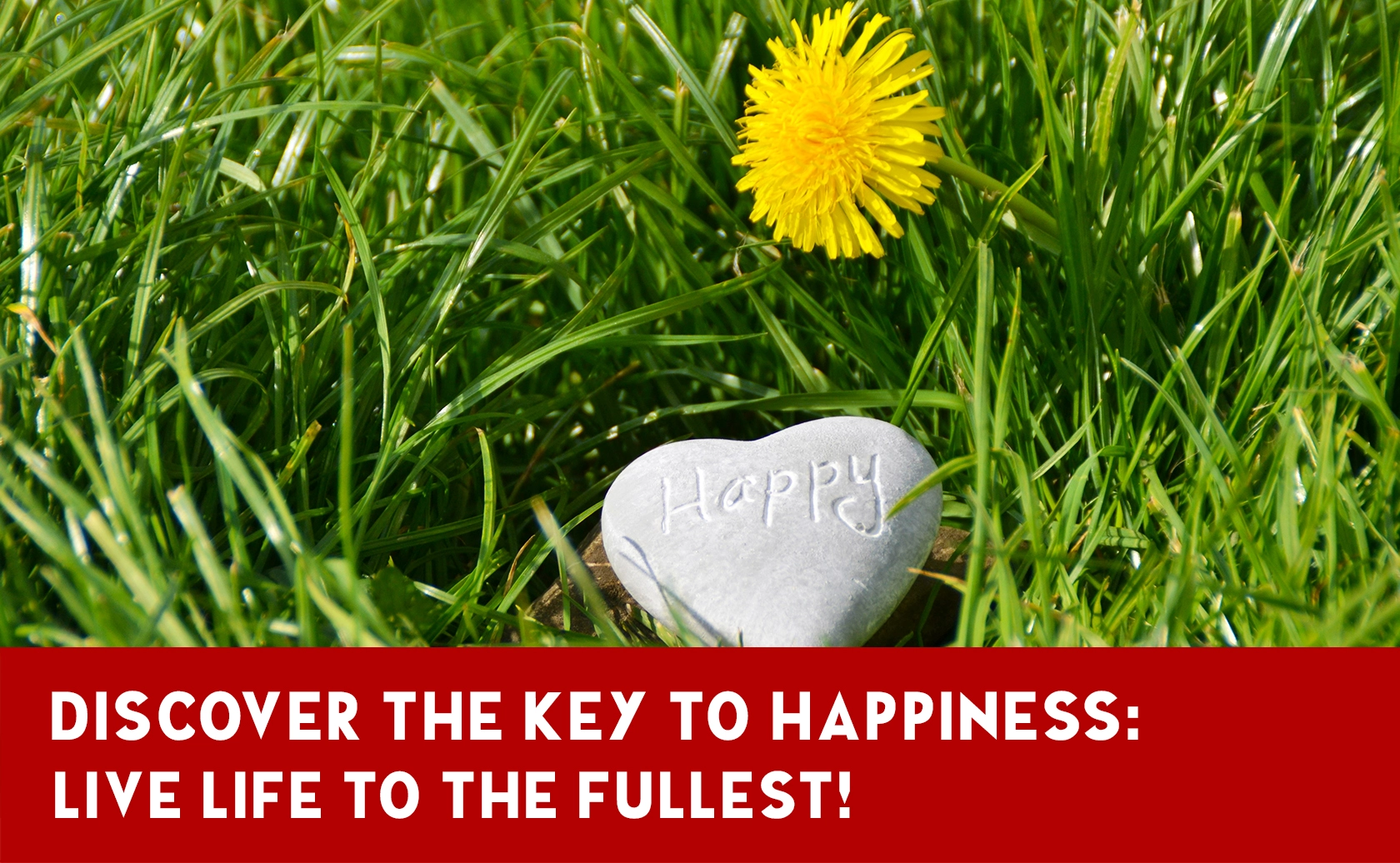 Psychology and Happiness: A Simple Path to Living Your Life to the Fullest